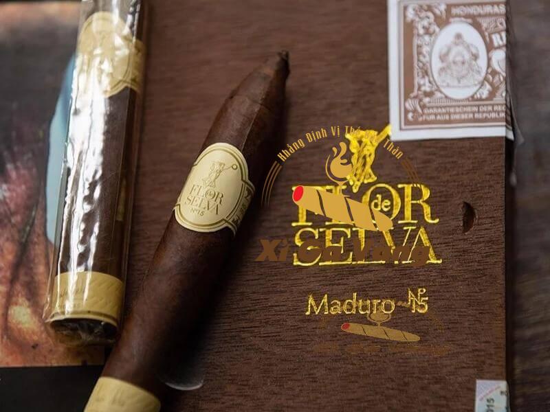 Hình thức điếu xì gà Maya Selva No 15 Maduro